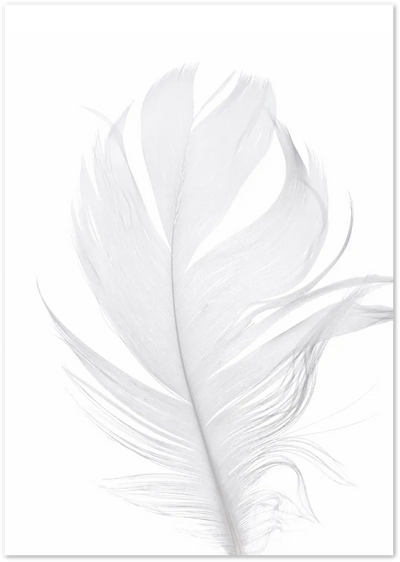 Posterux© | Soft Feather – Delicate Nature Photography Poster poster – premium wall art
