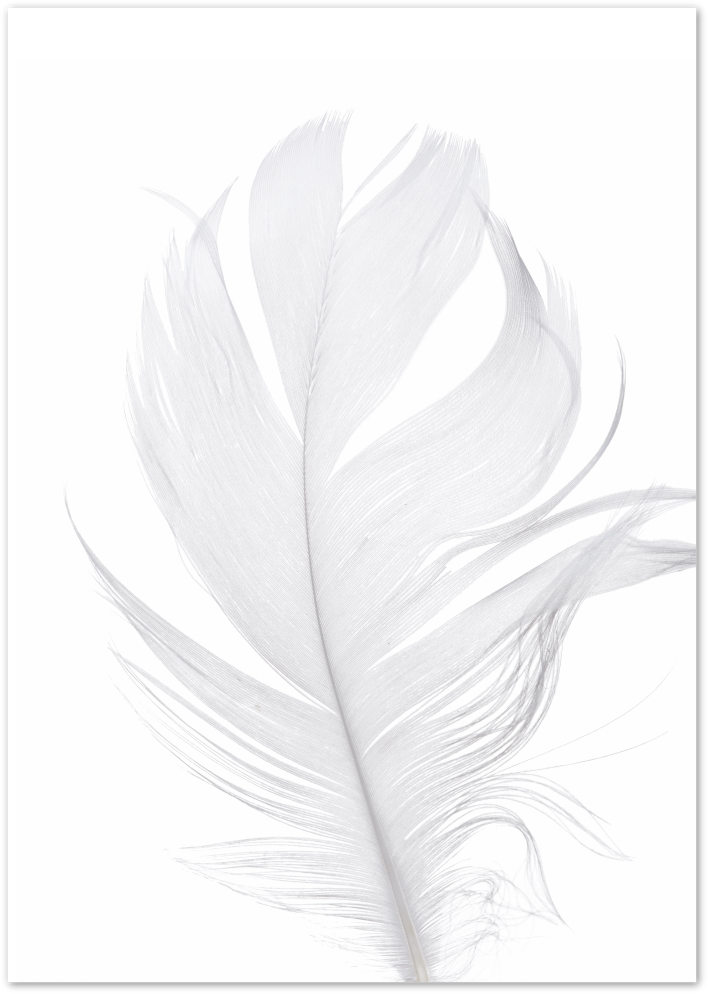 Posterux© | Soft Feather – Delicate Nature Photography Poster poster – premium wall art