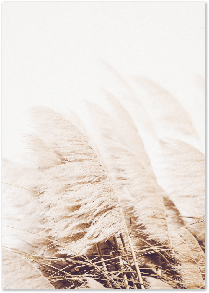 Posterux© | Golden Pampas – Warm & Earthy Nature Photography Poster poster – premium wall art