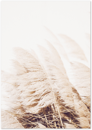 Posterux© | Golden Pampas – Warm & Earthy Nature Photography Poster poster – premium wall art