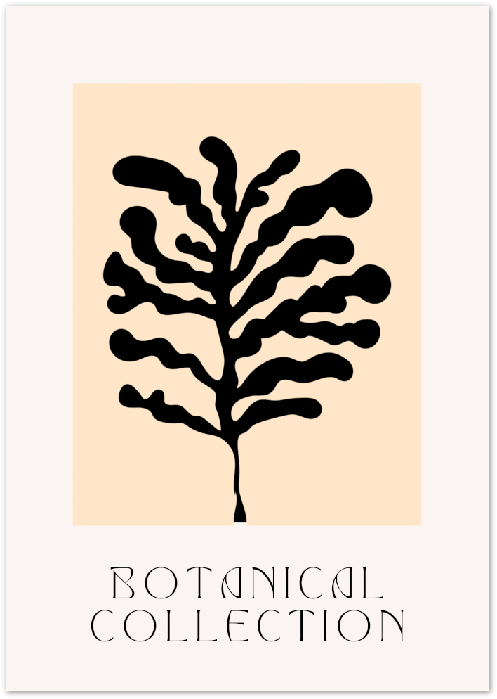 Posterux© | Botanical Coral Poster – Modern Nature Illustration poster – premium wall art
