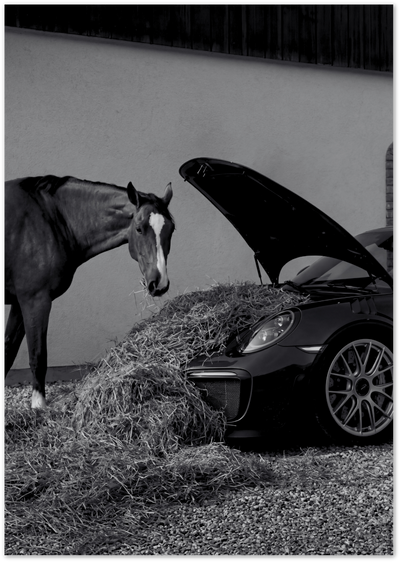 Horsepower Poster – Black and White Horse & Sports Car Print | Posterux