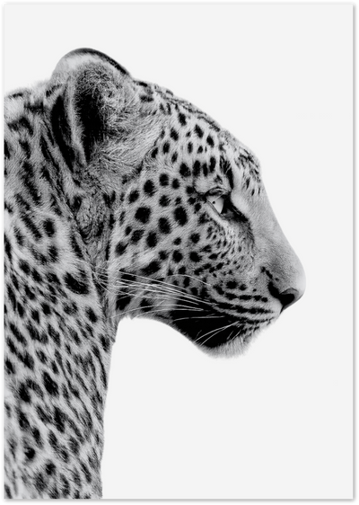 Leopard Profile Poster – Minimalist Black and White Wildlife Art | Posterux