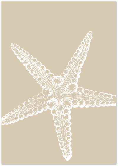 White starfish line art illustration on a beige background