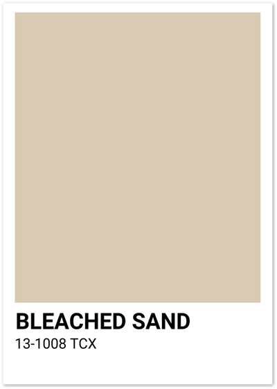 Minimalist beige colour swatch poster labelled Bleached Sand with code 13-1008 TCX