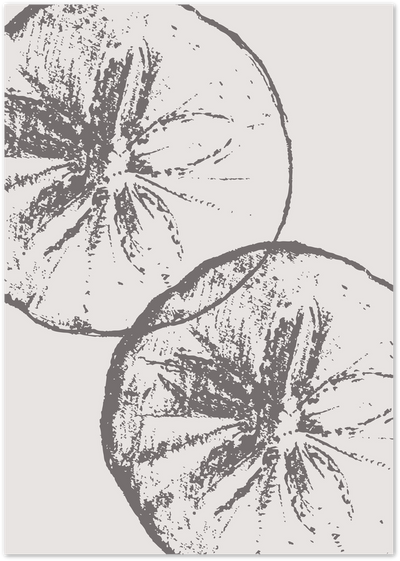Sketch-style illustration of two citrus fruit halves in charcoal grey on a beige background