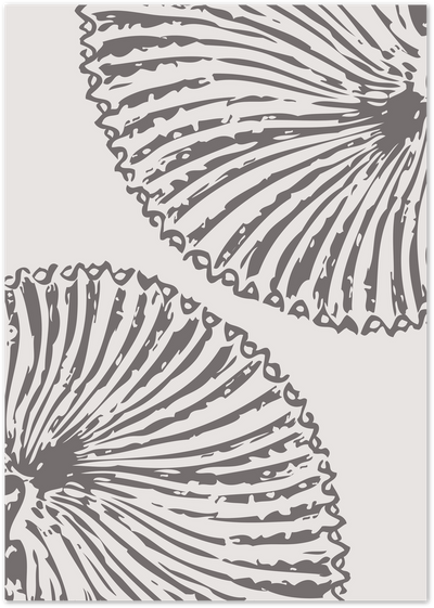 Grey line art poster of two radial leaf or shell shapes on an off-white background