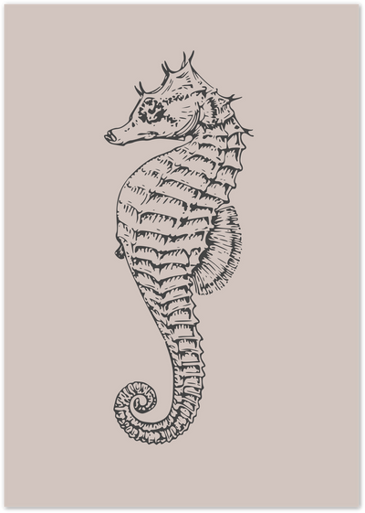 Detailed black line-art illustration of a seahorse on a beige background