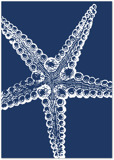 White illustrated starfish with textured arms on a navy blue background
