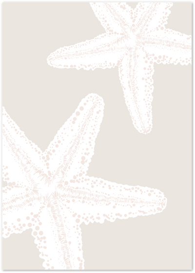 Illustration of three white and beige starfish on a beige background