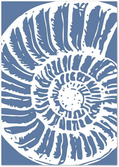 Blue and white graphic illustration of a spiral nautilus shell pattern