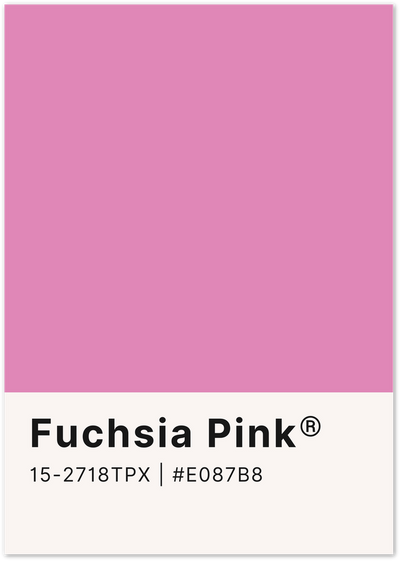 Fuchsia pink colour swatch poster with Pantone code and hex label