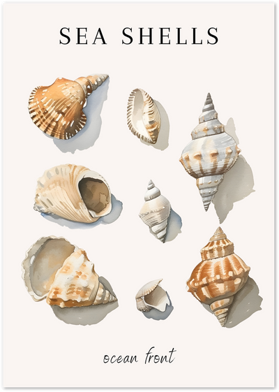 Watercolour illustration of various sea shells with the title Sea Shells and ocean front text