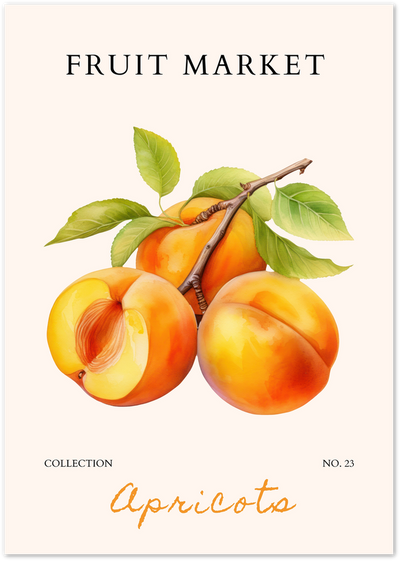 Watercolour illustration of apricots with leaves and a sliced fruit, Fruit Market Collection No. 23 poster