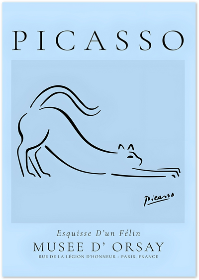 Blue Picasso museum poster with black line-art sketch of a stretching cat