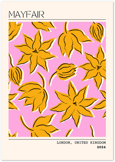 Bold orange star-shaped flower illustration on pink background with Mayfair London text