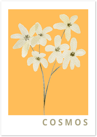 Watercolour illustration of white cosmos flowers on an orange background with the word COSMOS
