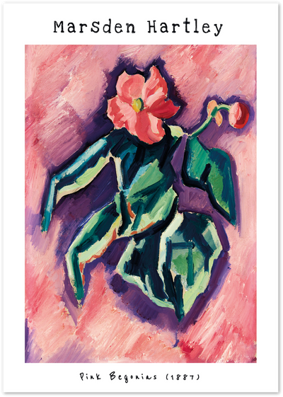 Marsden Hartley Pink Begonias poster with expressionist pink flower and green leaves on pink background