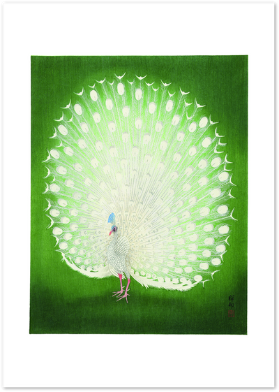 White peacock with fully fanned tail feathers against a green background, Japanese art style