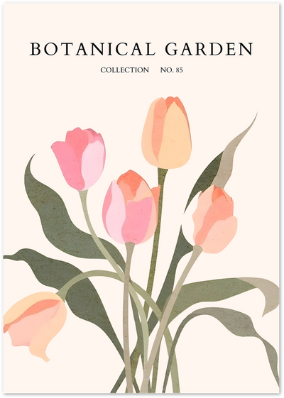Illustrated pink and orange tulip bouquet with green leaves, titled Botanical Garden Collection No. 85