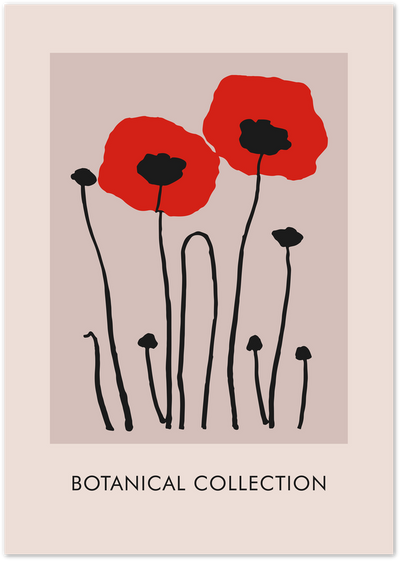 Poster with two red poppy flowers and black stems on a beige background, titled Botanical Collection