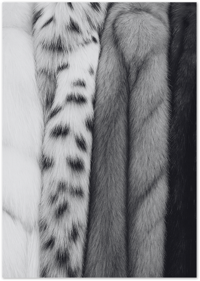 Black and white close-up photograph of various animal fur textures side by side