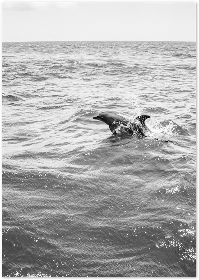 Black and white photo of a dolphin swimming through ocean waves under a pale sky
