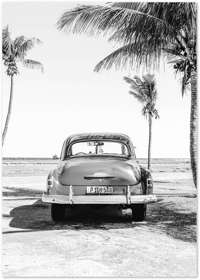 Black and white photo of a vintage classic car parked under palm trees on a beach road